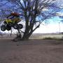 Ronnie Power Photo 16