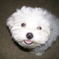 Lisa Byers Photo 13