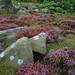 Heather Edge Photo 21