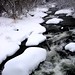 Elizabeth Rennie Photo 12