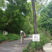 Adam Schwartz Photo 22