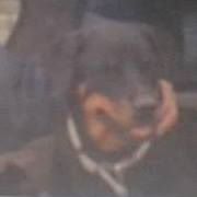 Curtis Fletcher Photo 23