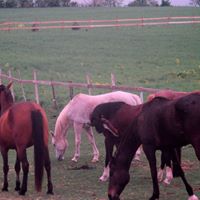 Jill Horton Photo 25