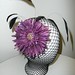 Aaron Swenson Photo 24