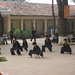 Son Vo Photo 19