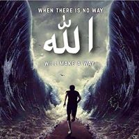 Mohammed Rashed Photo 27