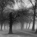 Helen Park Photo 18