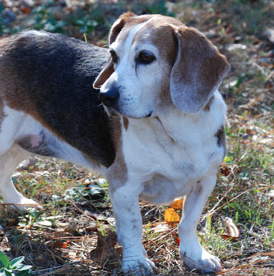 Sherry Murphy Photo 22