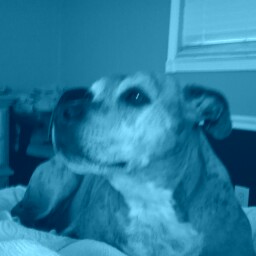 Cauley Patrick Photo 1