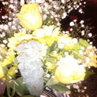Lori Mcmullan Photo 17