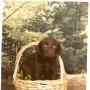Terry Randall Photo 33