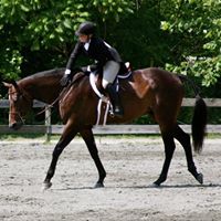 Taylor Hawes Photo 22