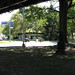 Theodore Shea Photo 5