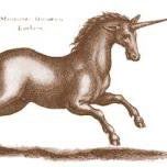 William Banner Photo 20