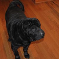 Sally Ingram Photo 6