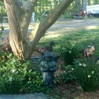 Debra Lilly Photo 34