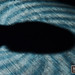 David Clemmons Photo 33