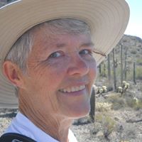 Carol Andrews Photo 17