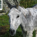 Sheila Moss Photo 10