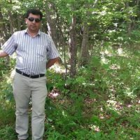 Masood Abbasi Photo 13