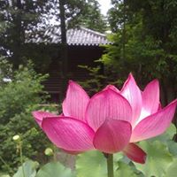 Bill Tse Photo 17