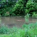 Lyman Graham Photo 5