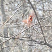 Kathy Dewitt Photo 7