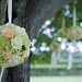 Julie Galbraith Photo 25