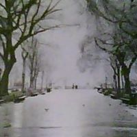Jason Beatty Photo 24