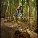 David Godwin Photo 54