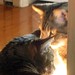 Delores Brown Photo 7