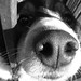 Rachel Kerns Photo 15