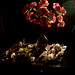 Nelson Flores Photo 29