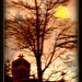 Martha Moon Photo 28