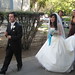 Theresa Wills Photo 22