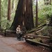 Michelle Muir Photo 39