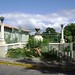 Mary Cassin Photo 10