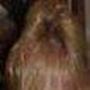 Donna Bruce Photo 25