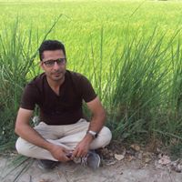 Mohammad Sohrabi Photo 18