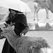 Jamie Deer Photo 17