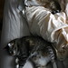 Martha James Photo 14
