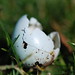 Robin Hollis Photo 31