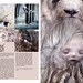 Caitlin Houser Photo 14