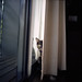 Effie Sharp Photo 2
