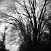 Diana Rich Photo 32
