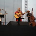 Louis Harris Photo 46