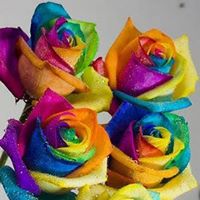 Cheryl Renz Photo 23