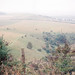 James Ridgeway Photo 45