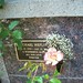 Michael Heflin Photo 21