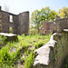 Alexander Mcneil Photo 13